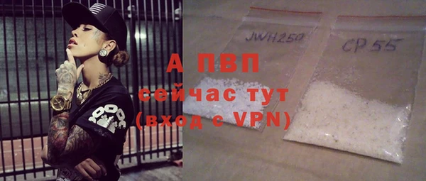 дурь Гусиноозёрск