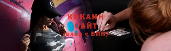 дурь Гусиноозёрск