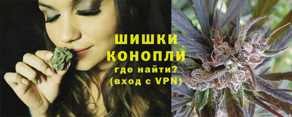 дурь Гусиноозёрск