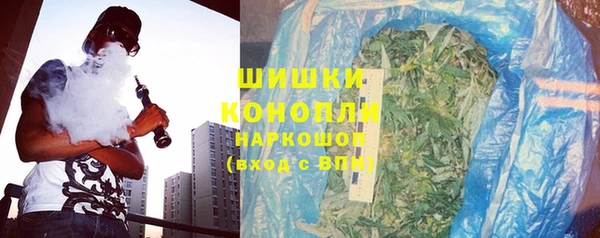 дурь Гусиноозёрск